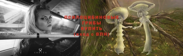 индика Лагань