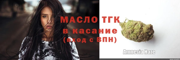 индика Лагань