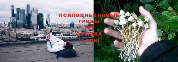 jwh Ладушкин