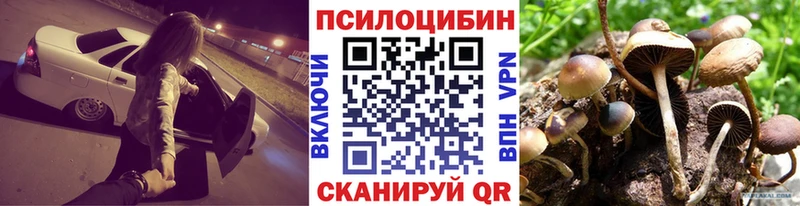 Галлюциногенные грибы Magic Shrooms  Купить закладки  Усть-Джегута 